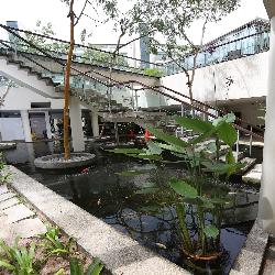 Glentrees (D10), Condominium #49834712